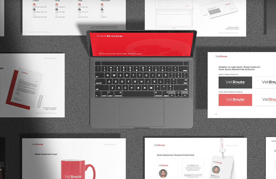 VetRoute Kurumsal Kimlik Kılavuzu